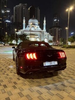 
										Ford Mustang EcoBoost Convertible 2021 full									