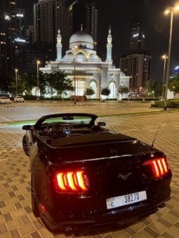 
										Ford Mustang EcoBoost Convertible 2021 full									