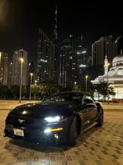 
										Ford Mustang EcoBoost Convertible 2021 full									