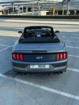 
										Ford Mustang Convertible GT 2023 full									